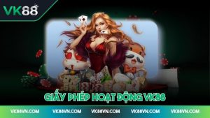 Ảnh đại diện giấy phép hoạt động VK88